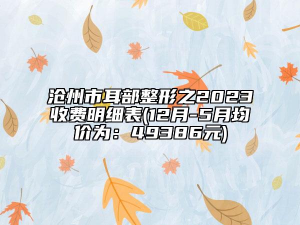 沧州市耳部整形之2023收费明细表(12月-5月均价为：49386元)