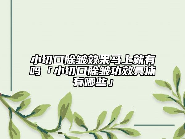 小切口除皱效果马上就有吗「小切口除皱功效具体有哪些」