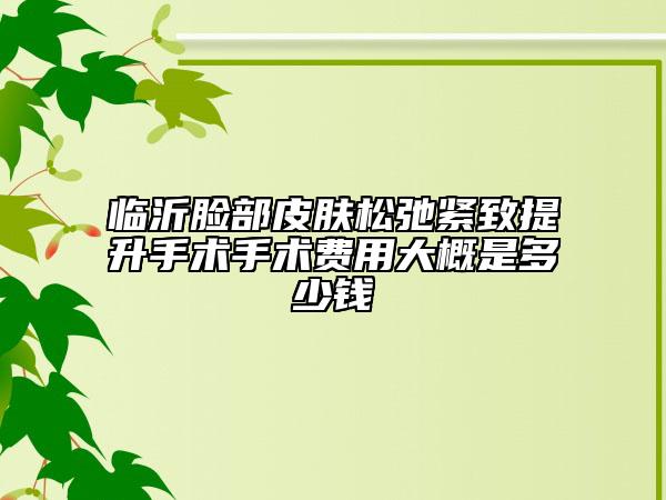 临沂脸部皮肤松弛紧致提升手术手术费用大概是多少钱