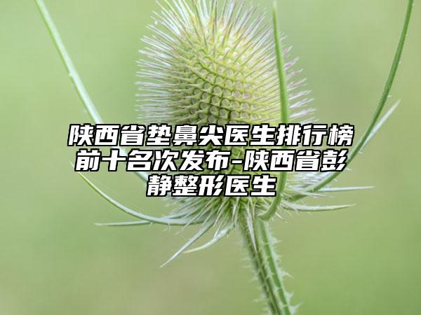 陕西省垫鼻尖医生排行榜前十名次发布-陕西省彭静整形医生