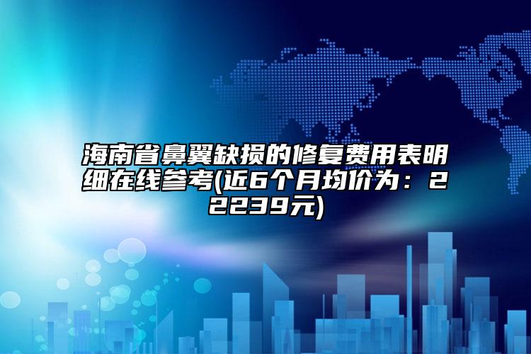 海南省鼻翼缺损的修复费用表明细在线参考(近6个月均价为：22239元)