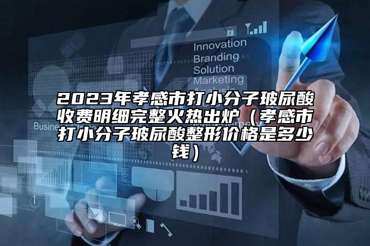 2023年孝感市打小分子玻尿酸收费明细完整火热出炉（孝感市打小分子玻尿酸整形价格是多少钱）