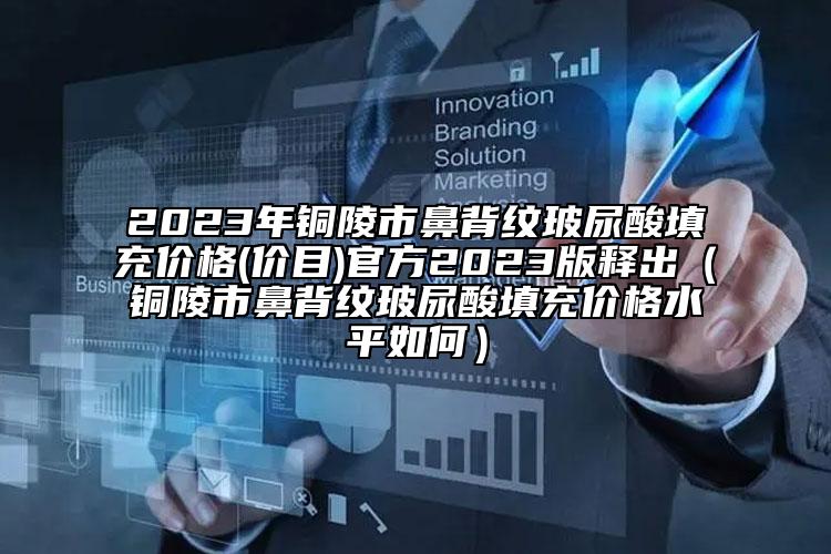 2023年铜陵市鼻背纹玻尿酸填充价格(价目)官方2023版释出（铜陵市鼻背纹玻尿酸填充价格水平如何）