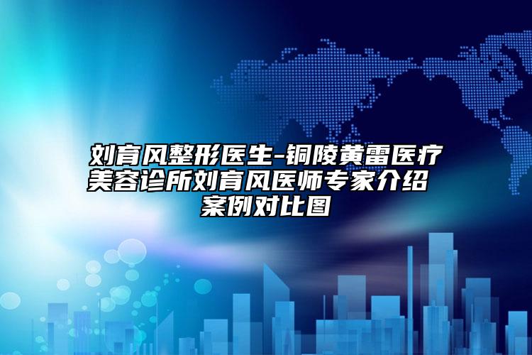 刘育风整形医生-铜陵黄雷医疗美容诊所刘育风医师专家介绍 案例对比图