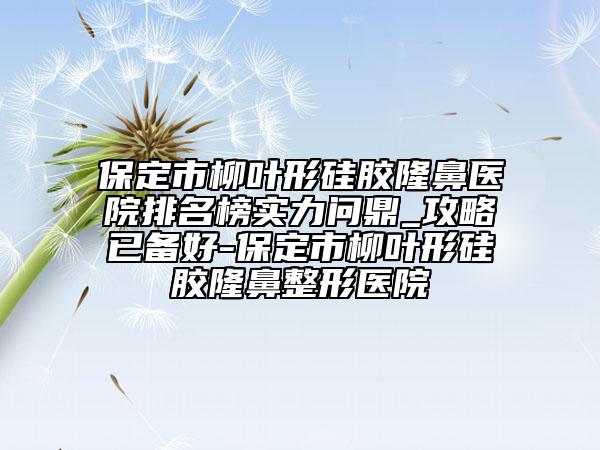 保定市柳叶形硅胶隆鼻医院排名榜实力问鼎_攻略已备好-保定市柳叶形硅胶隆鼻整形医院