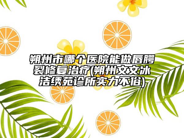 朔州市哪个医院能做唇腭裂修复治疗(朔州文文冰洁绣苑诊所实力不俗)