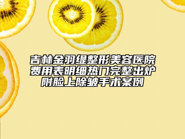 吉林金羽缇整形美容医院费用表明细热门完整出炉附脸上除皱手术案例