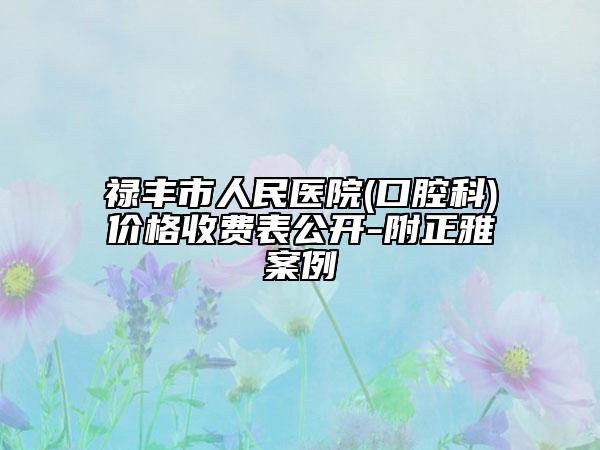 禄丰市人民医院(口腔科)价格收费表公开-附正雅案例