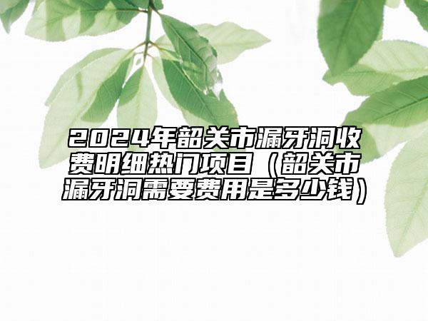 2024年韶关市漏牙洞收费明细热门项目（韶关市漏牙洞需要费用是多少钱）