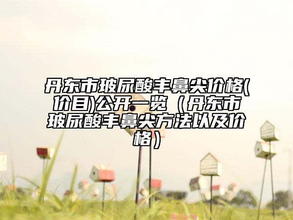 丹东市玻尿酸丰鼻尖价格(价目)公开一览（丹东市玻尿酸丰鼻尖方法以及价格）