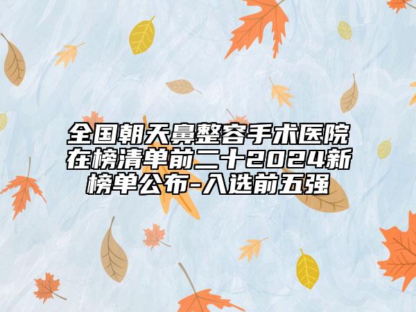 全国朝天鼻整容手术医院在榜清单前二十2024新榜单公布-入选前五强