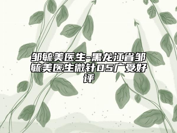 邹毓美医生-黑龙江省邹毓美医生微针05广受好评