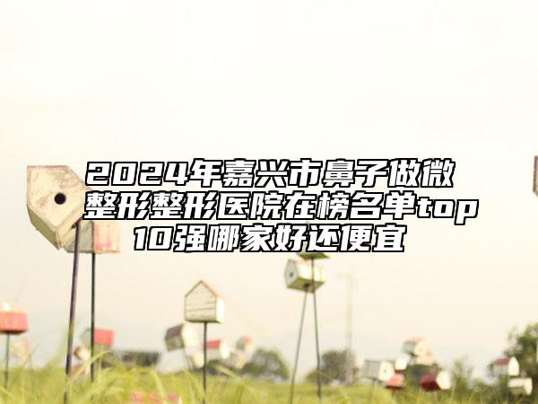 2024年嘉兴市鼻子做微整形整形医院在榜名单top10强哪家好还便宜