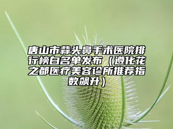 唐山市蒜头鼻手术医院排行榜白名单发布（遵化花之都医疗美容诊所推荐指数飙升）