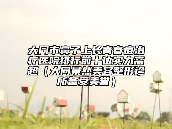 大同市鼻子上长青春痘治疗医院排行前十位实力高超（大同景然美容整形诊所备受美誉）