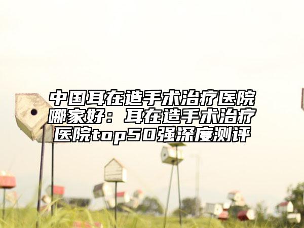 中国耳在造手术治疗医院哪家好：耳在造手术治疗医院top50强深度测评