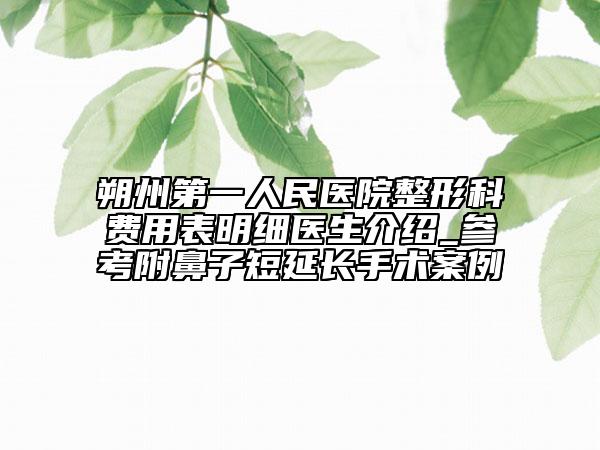 朔州第一人民医院整形科费用表明细医生介绍_参考附鼻子短延长手术案例