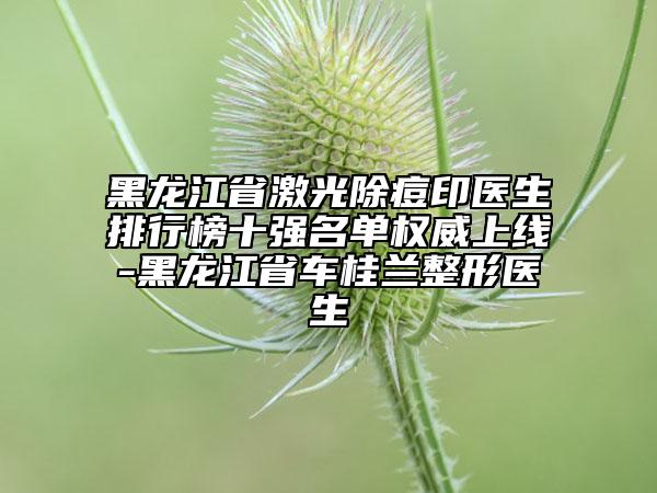 黑龙江省激光除痘印医生排行榜十强名单权威上线-黑龙江省车桂兰整形医生