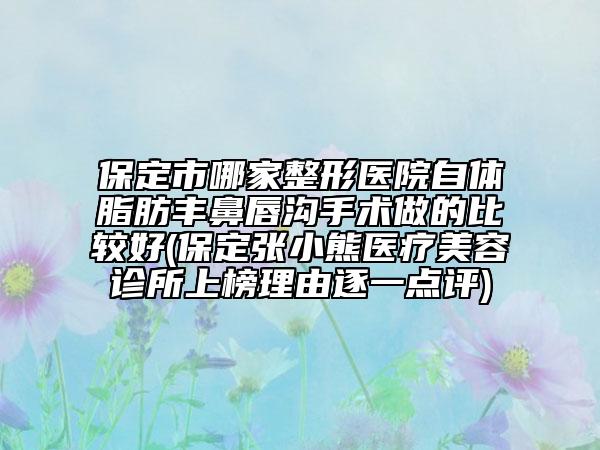 保定市哪家整形医院自体脂肪丰鼻唇沟手术做的比较好(保定张小熊医疗美容诊所上榜理由逐一点评)