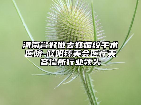 河南省好做去妊娠纹手术医院-濮阳臻美会医疗美容诊所行业领头