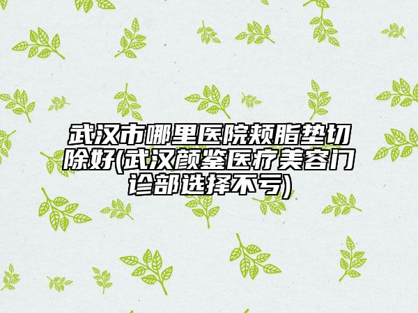 武汉市哪里医院颊脂垫切除好(武汉颜鉴医疗美容门诊部选择不亏)