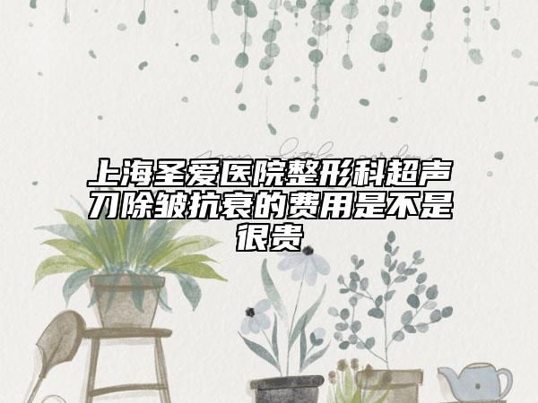 上海圣爱医院整形科超声刀除皱抗衰的费用是不是很贵