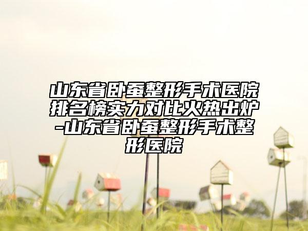 山东省卧蚕整形手术医院排名榜实力对比火热出炉-山东省卧蚕整形手术整形医院