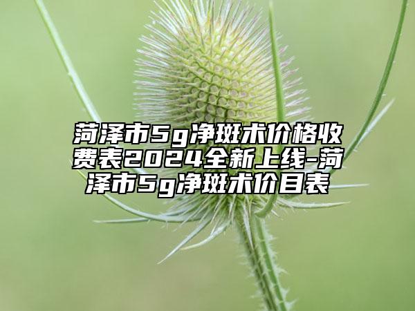 菏泽市5g净斑术价格收费表2024全新上线-菏泽市5g净斑术价目表