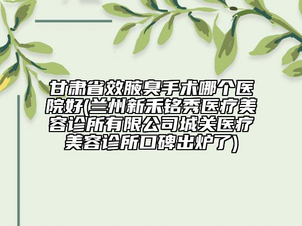 甘肃省效腋臭手术哪个医院好(兰州新禾铭秀医疗美容诊所有限公司城关医疗美容诊所口碑出炉了)