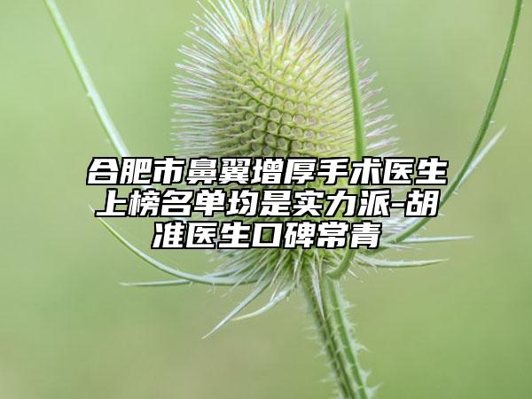 合肥市鼻翼增厚手术医生上榜名单均是实力派-胡准医生口碑常青