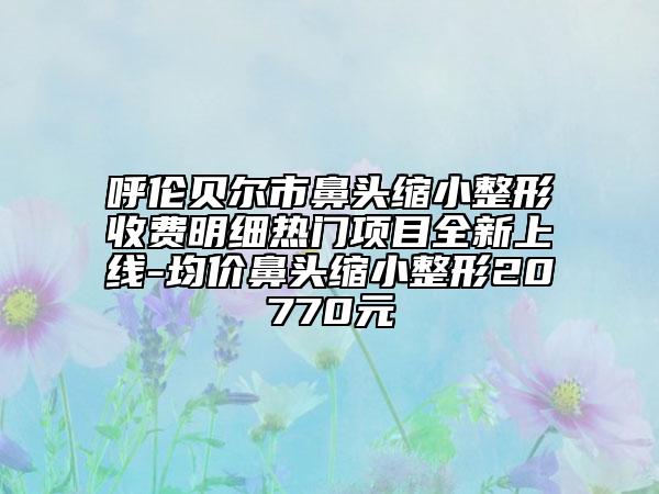 呼伦贝尔市鼻头缩小整形收费明细热门项目全新上线-均价鼻头缩小整形20770元