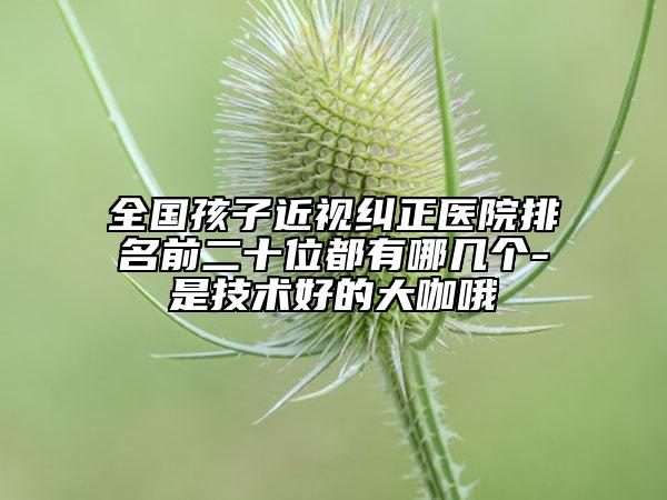 全国孩子近视纠正医院排名前二十位都有哪几个-是技术好的大咖哦