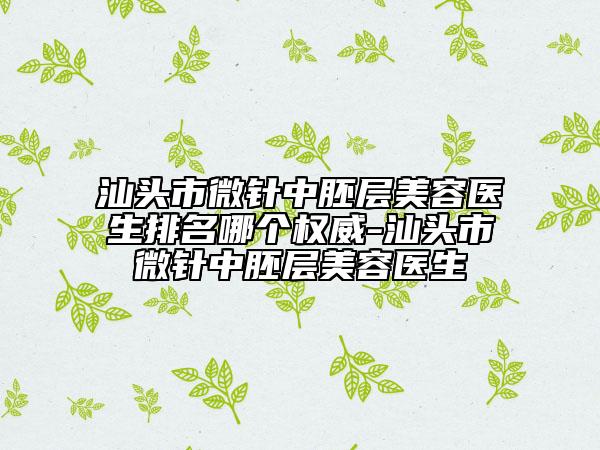 汕头市微针中胚层美容医生排名哪个权威-汕头市微针中胚层美容医生