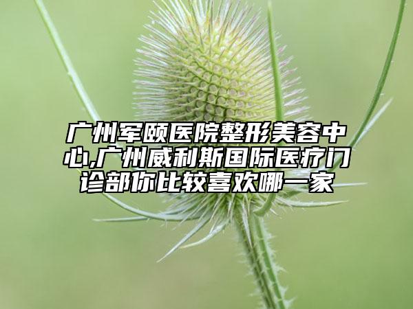 广州军颐医院整形美容中心,广州威利斯国际医疗门诊部你比较喜欢哪一家