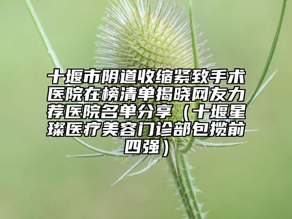 十堰市阴道收缩紧致手术医院在榜清单揭晓网友力荐医院名单分享（十堰星璨医疗美容门诊部包揽前四强）