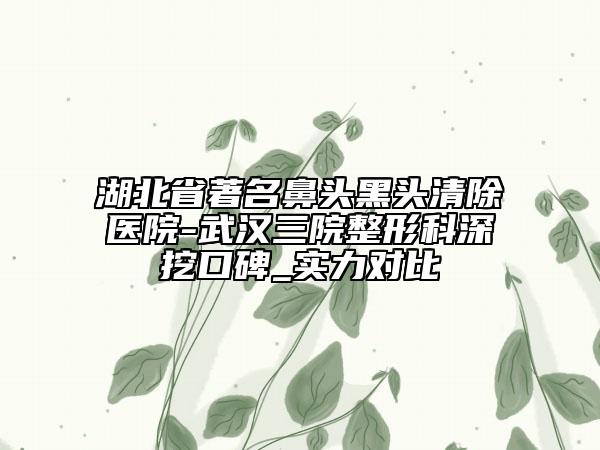 湖北省著名鼻头黑头清除医院-武汉三院整形科深挖口碑_实力对比