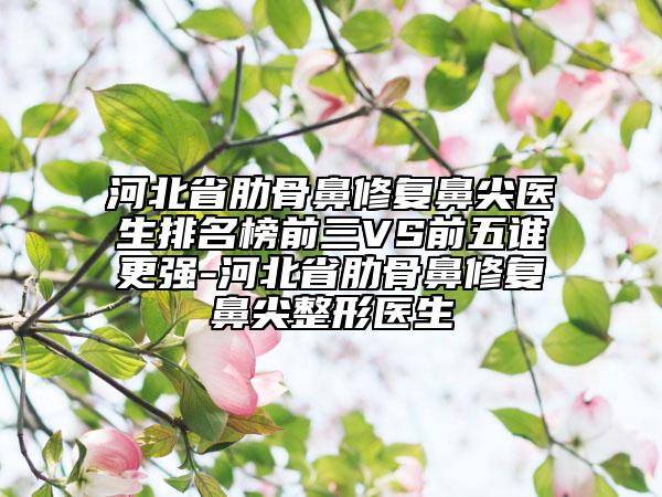 河北省肋骨鼻修复鼻尖医生排名榜前三VS前五谁更强-河北省肋骨鼻修复鼻尖整形医生