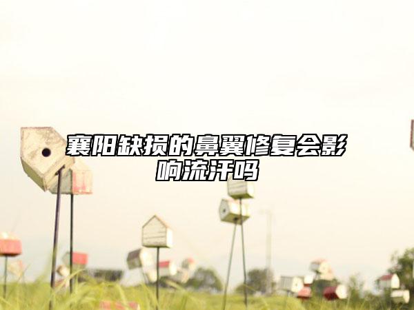 襄阳缺损的鼻翼修复会影响流汗吗