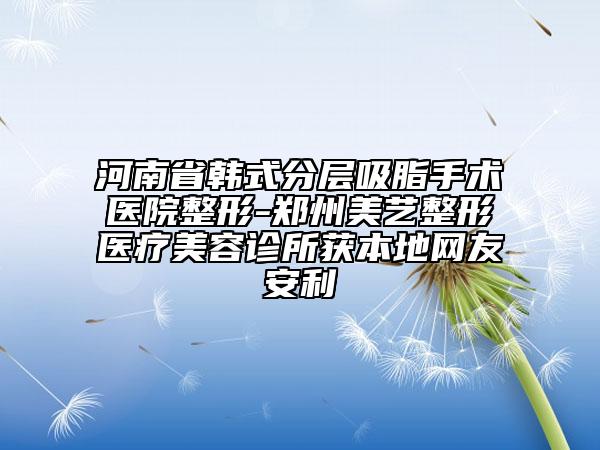 河南省韩式分层吸脂手术医院整形-郑州美艺整形医疗美容诊所获本地网友安利