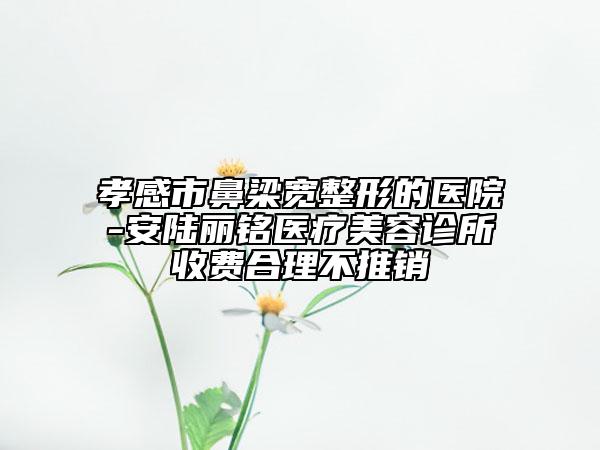 孝感市鼻梁宽整形的医院-安陆丽铭医疗美容诊所收费合理不推销