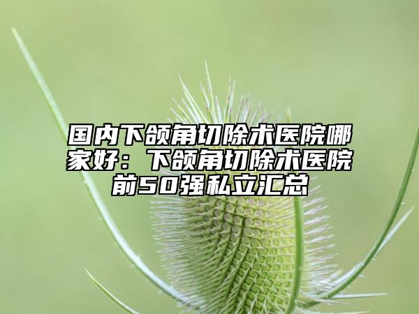 国内下颌角切除术医院哪家好：下颌角切除术医院前50强私立汇总