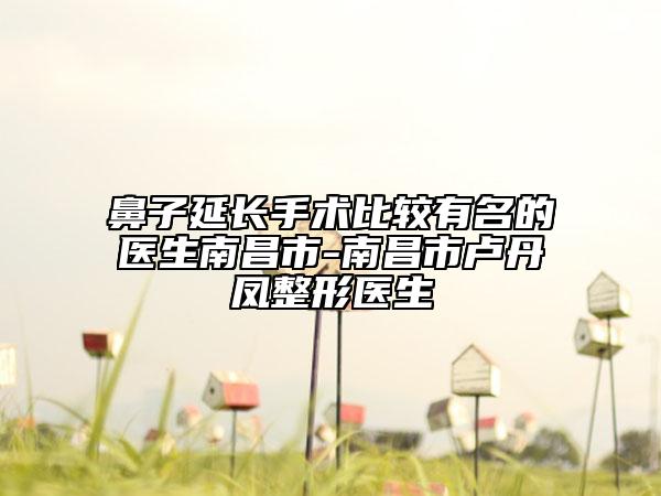 鼻子延长手术比较有名的医生南昌市-南昌市卢丹凤整形医生