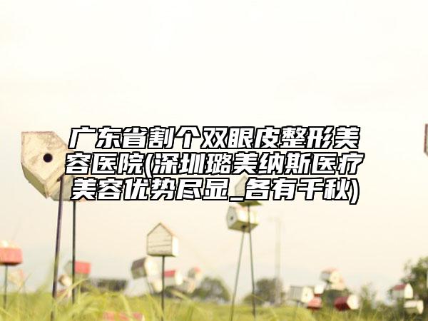 广东省割个双眼皮整形美容医院(深圳璐美纳斯医疗美容优势尽显_各有千秋)