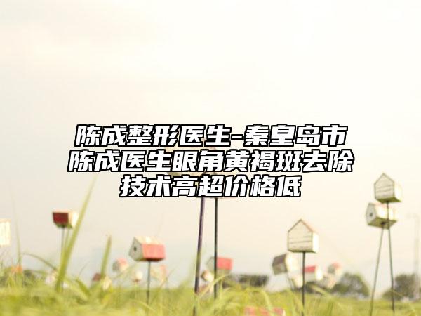 陈成整形医生-秦皇岛市陈成医生眼角黄褐斑去除技术高超价格低