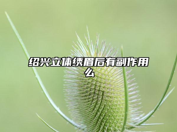 绍兴立体绣眉后有副作用么