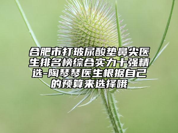 合肥市打玻尿酸垫鼻尖医生排名榜综合实力十强精选-陶琴琴医生根据自己的预算来选择哦