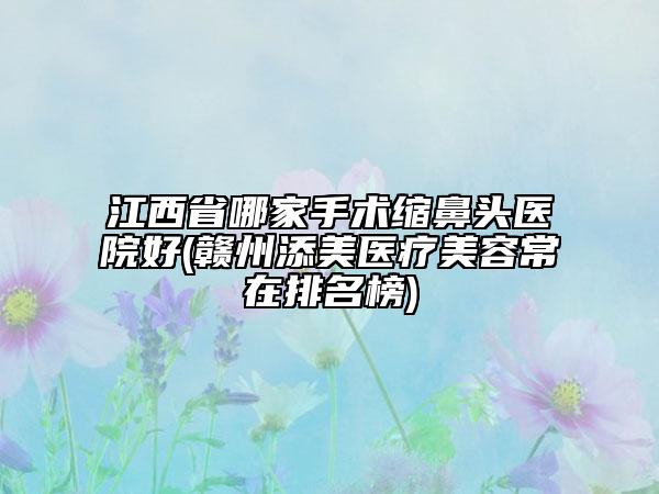 江西省哪家手术缩鼻头医院好(赣州添美医疗美容常在排名榜)