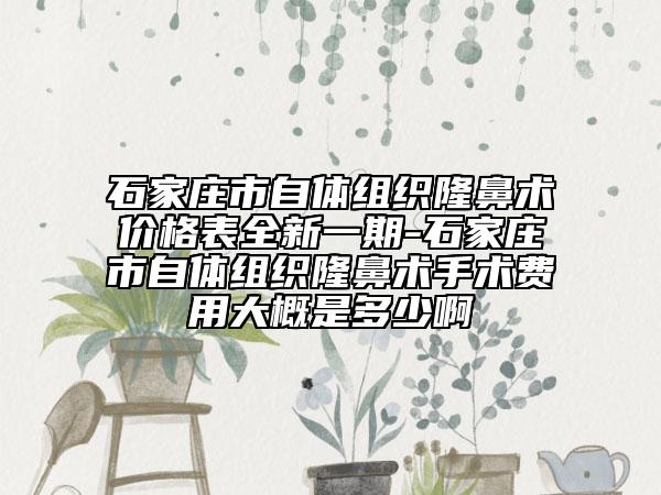 石家庄市自体组织隆鼻术价格表全新一期-石家庄市自体组织隆鼻术手术费用大概是多少啊