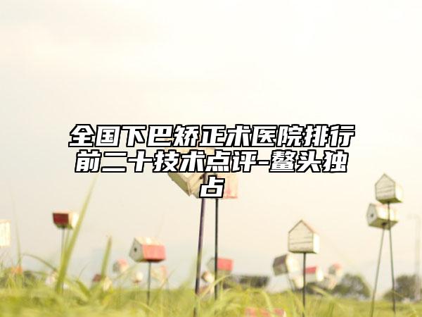 全国下巴矫正术医院排行前二十技术点评-鳌头独占