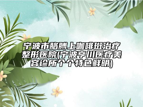 宁波市胳膊上咖啡斑治疗整形医院(宁波亨川医疗美容诊所个个特色鲜明)